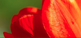 一手货源的网站攻击源码